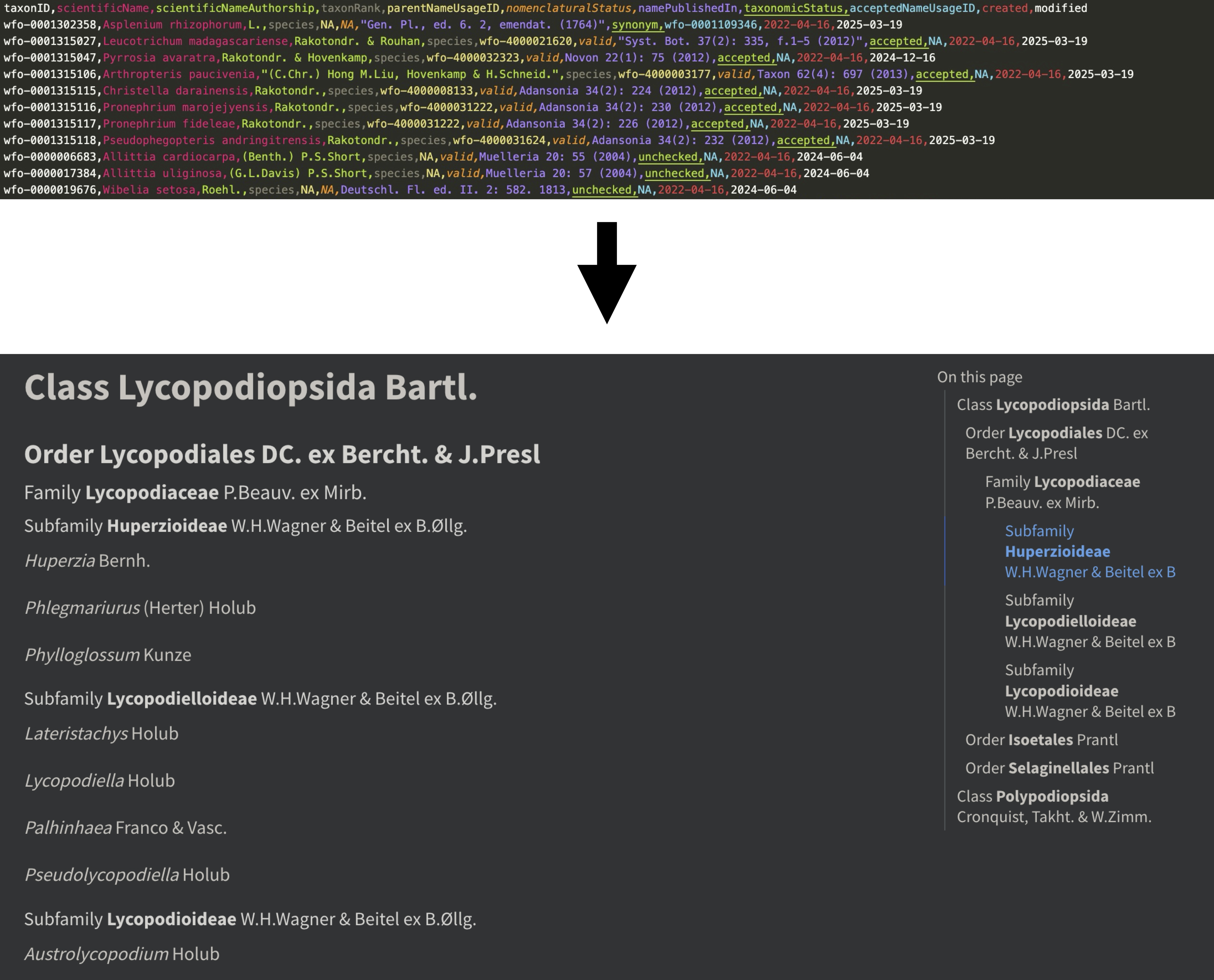 Screenshot showing taxonomic database as plain text CSV above, with and arrow pointing down. Below it is a screenshot of a webpage with a human readable version of the same data as a taxonomic classification scheme.